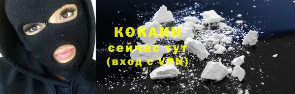 крисы Алзамай