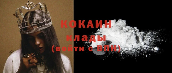 крисы Алзамай