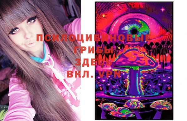 крисы Алзамай