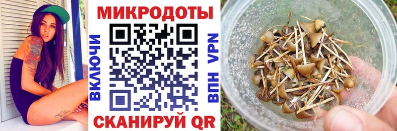 Псилоцибиновые грибы прущие грибы  Советский 